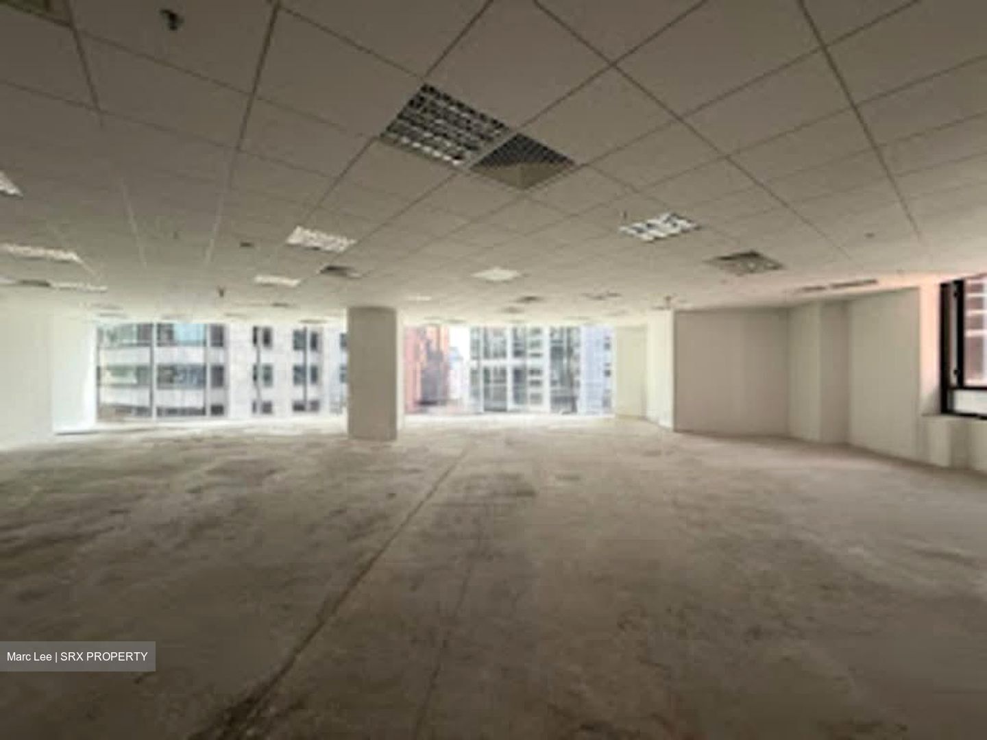 PLUS (D1), Office #559883311